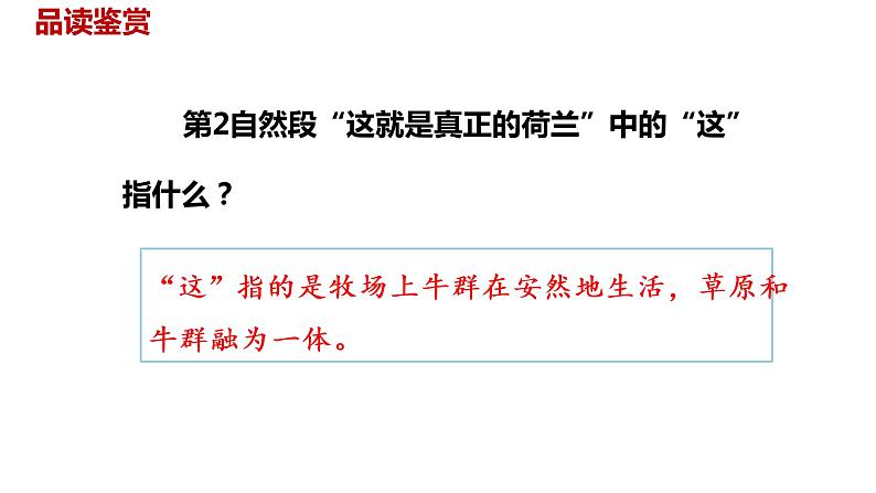 语文统编五(下)第7单元19《牧场之国》课时2第8页