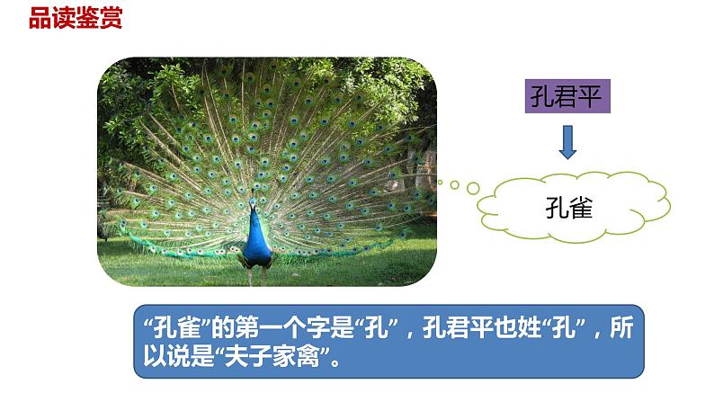 语文统编五(下)第8单元21《杨氏之子》课时2第6页