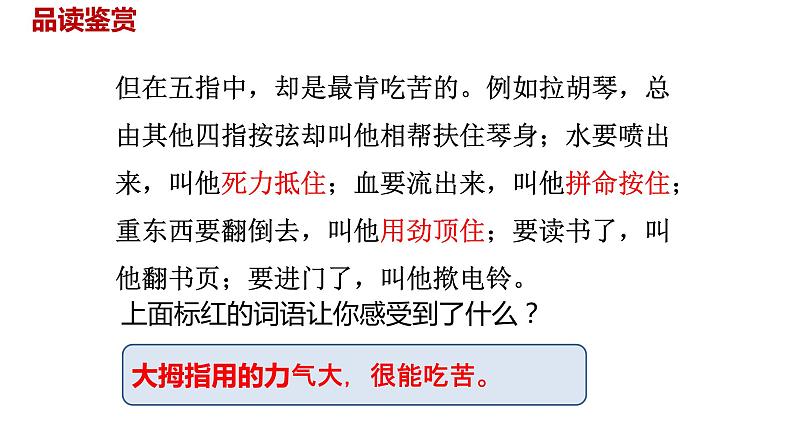 语文统编五(下)第8单元22《手指》课件PPT08