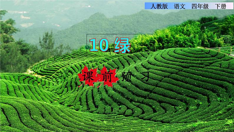 10.绿课前预习课件01
