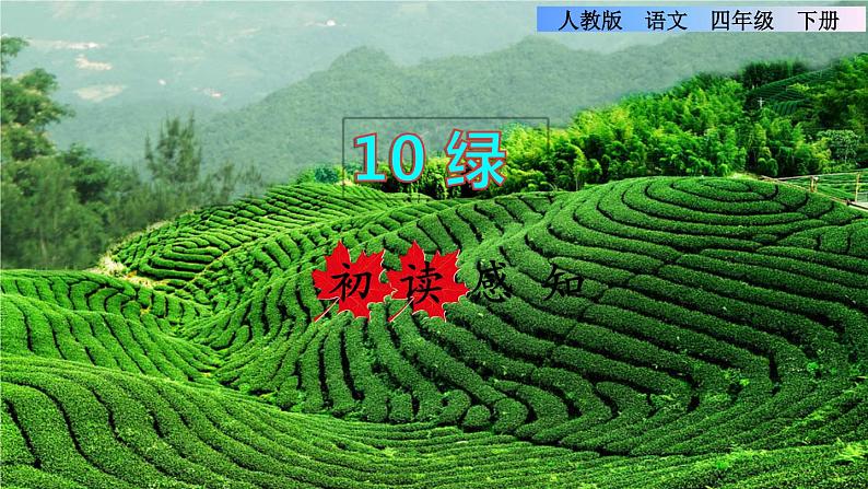 10.绿初读感知课件01