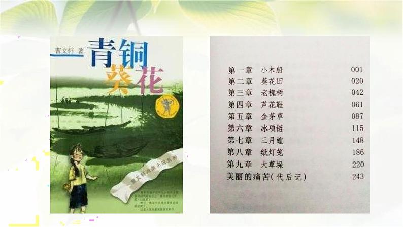 人教部编版四年级语文下册第21课《芦花鞋》教学课件PPT小学优秀公开课第2页