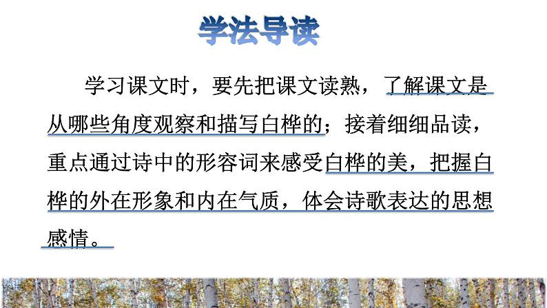 11.白桦品读释疑课件第3页