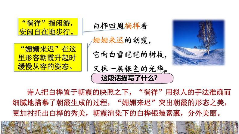 11.白桦品读释疑课件第8页