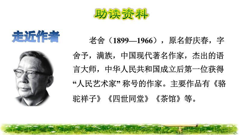 13.猫初读感知课件02