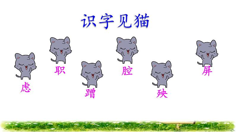 13.猫初读感知课件08