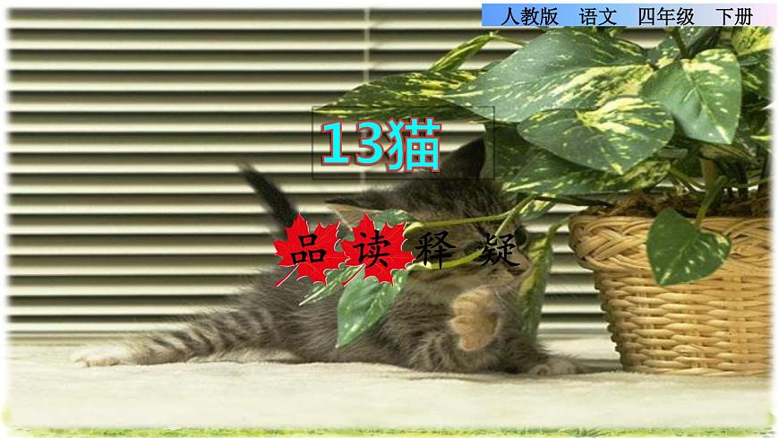 13.貓品讀釋疑課件第1頁
