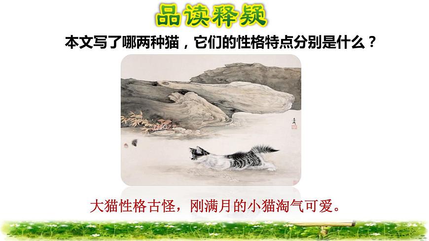 13.貓品讀釋疑課件第4頁
