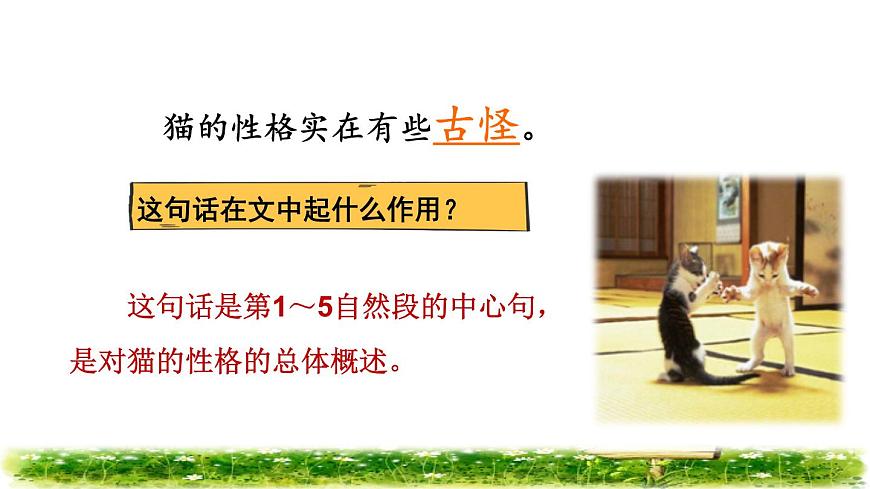 13.貓品讀釋疑課件第6頁