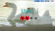 小学语文人教部编版 (五四制)四年级下册15 白鹅课堂教学ppt课件