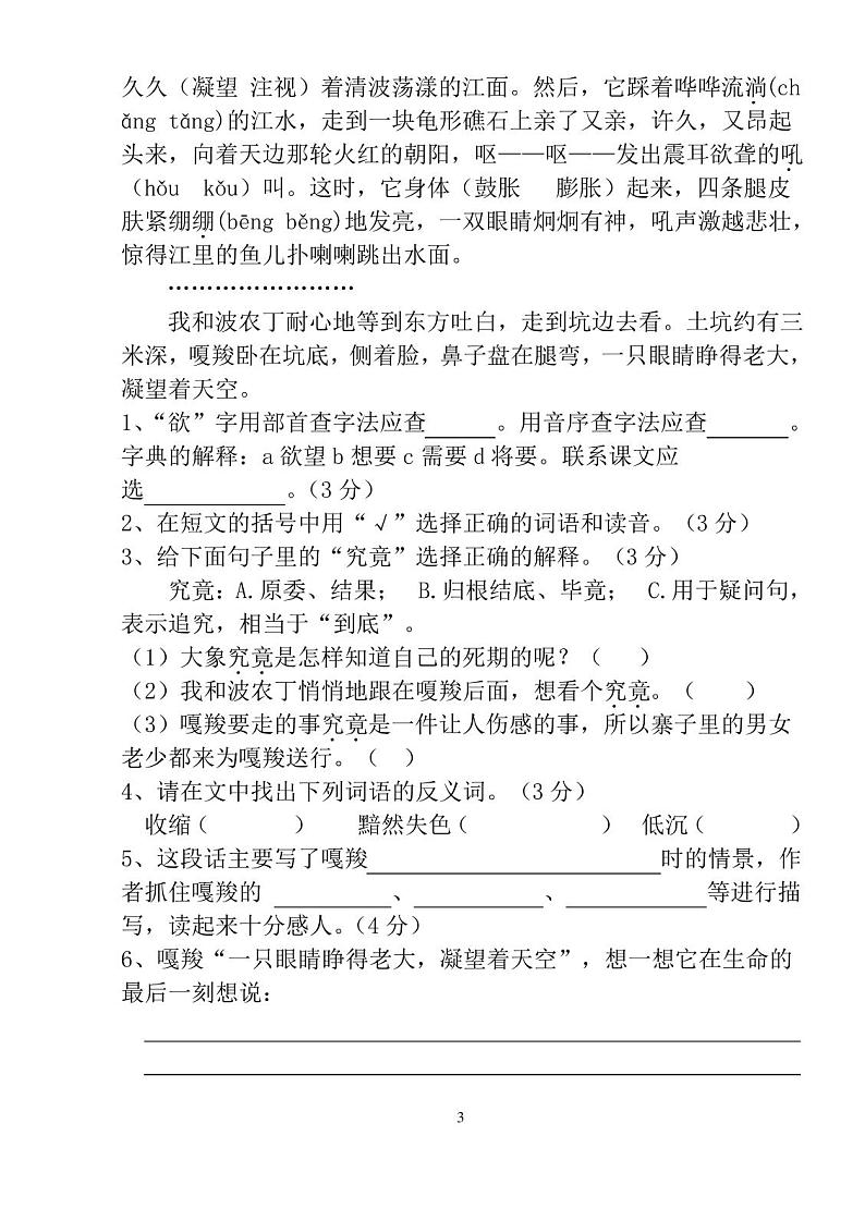 2019-2020学年第一学期六年级语文期末试卷(含答案)第3页