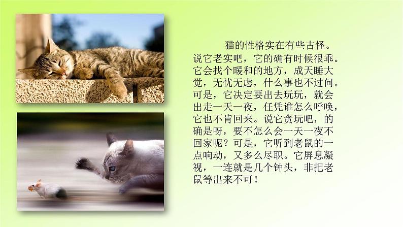 第1单元 我的心爱之物第3页