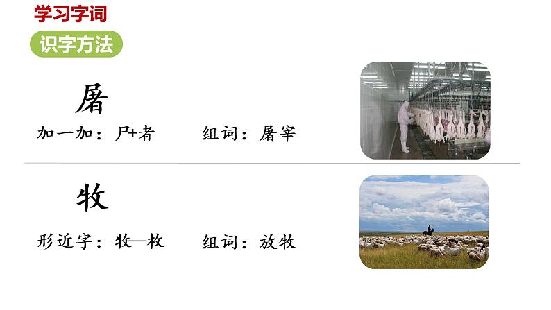 统编语文三(下)第3单元《古诗三首》课时1第6页