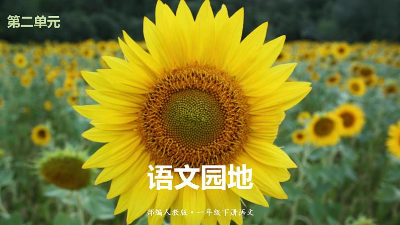 人教版(部编版)语文一年级下册:语文园地二课件PPT第1页