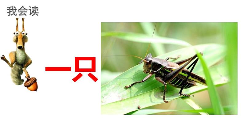人教版(部编版)语文一年级下册:课文7怎么都快乐课件PPT第7页