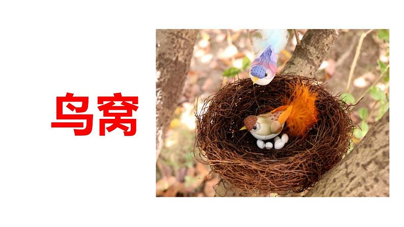 人教版(部编版)语文一年级下册:课文7怎么都快乐课件PPT第8页