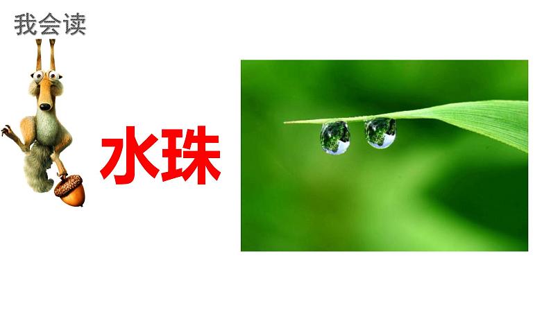人教版(部编版)语文一年级下册:13荷叶圆圆课件PPT第8页