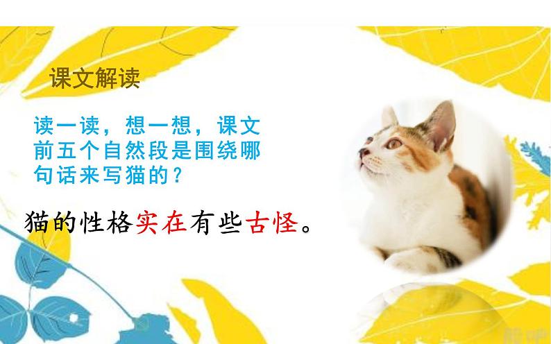 人教版(部编版四五制)小学语文四年级下册 13.猫 课件03