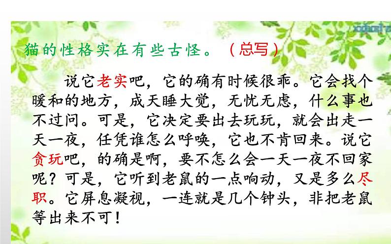 人教版(部编版四五制)小学语文四年级下册 13.猫 课件04