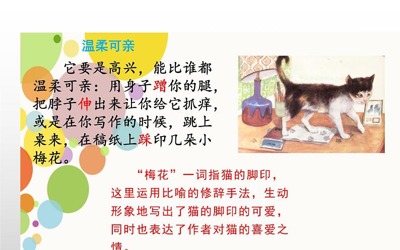 人教版(部编版四五制)小学语文四年级下册 13.猫 课件07