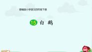 语文四年级下册15 白鹅课前预习课件ppt