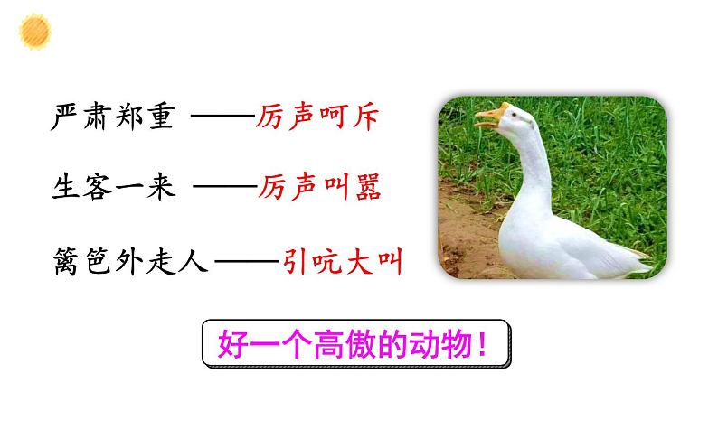 人教版(部编版四五制)小学语文四年级下册 15 白鹅 课件第8页