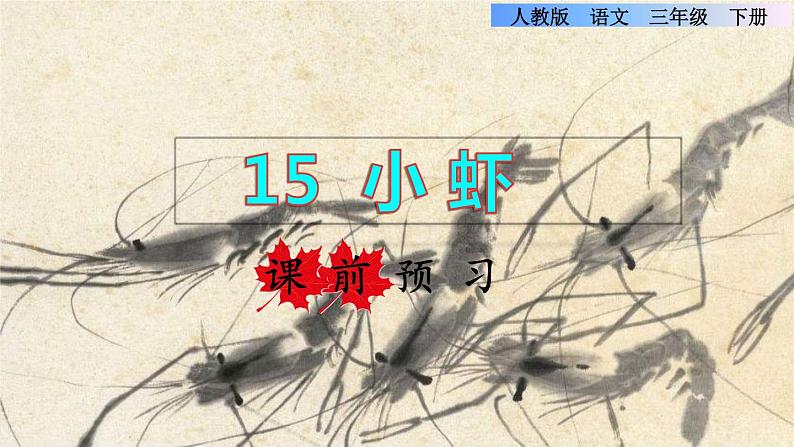15 小虾课前预习课件第1页