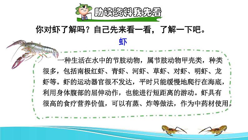 15 小虾课前预习课件第2页