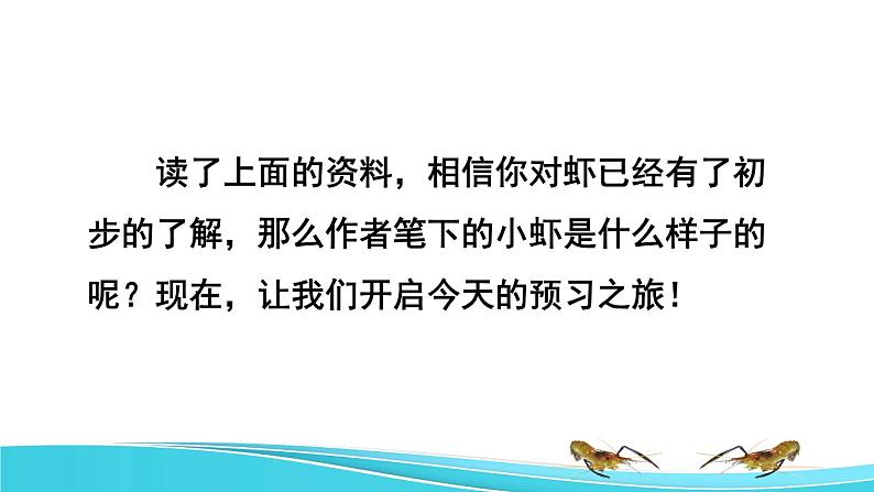 15 小虾课前预习课件第5页