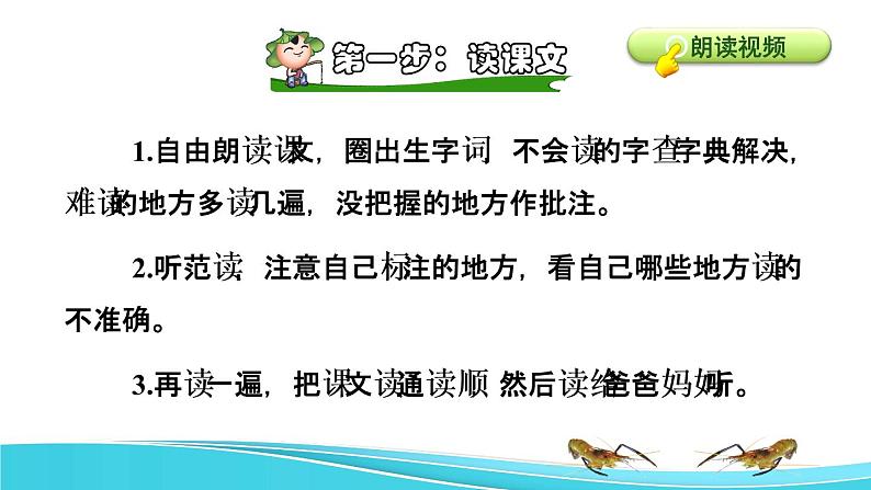 15 小虾课前预习课件第6页