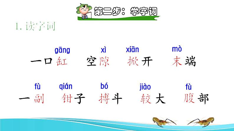 15 小虾课前预习课件第7页