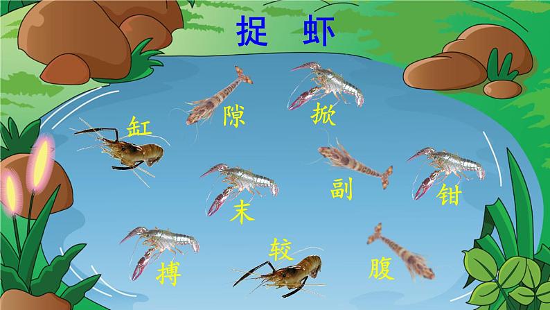 15 小虾课前预习课件第8页