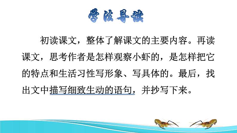 15 小虾品读释疑课件03
