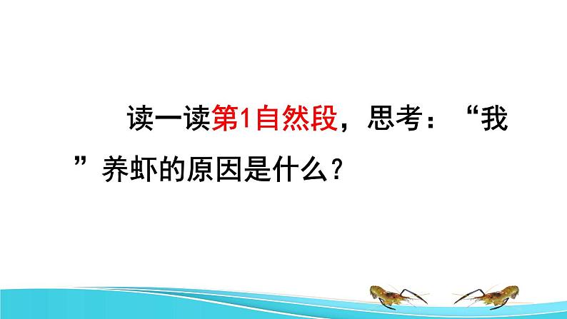15 小虾品读释疑课件04