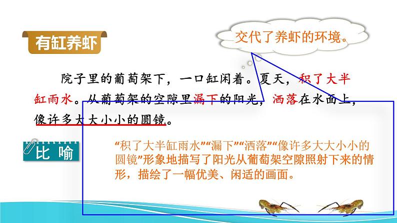 15 小虾品读释疑课件05