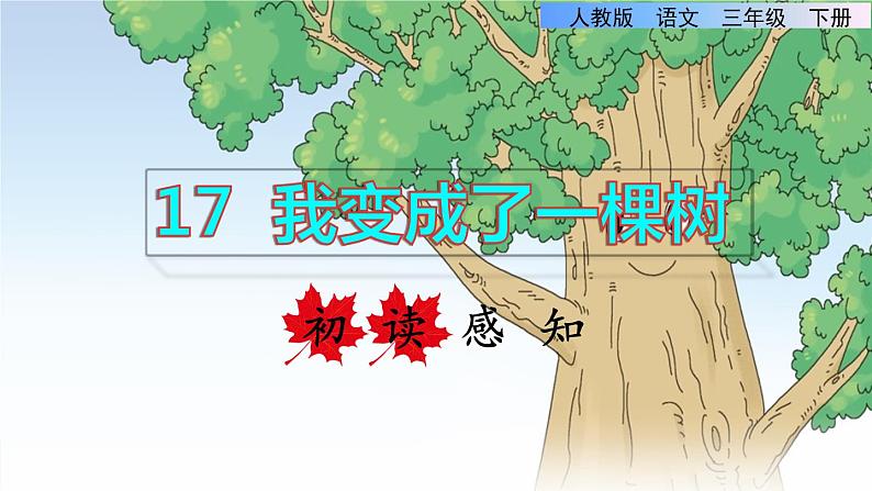 17 我变成了一棵树 初读感知课件01