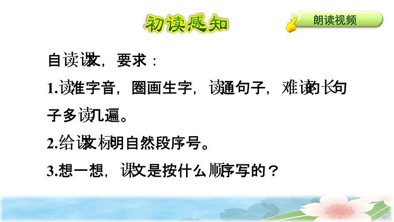 17 我变成了一棵树 初读感知课件05