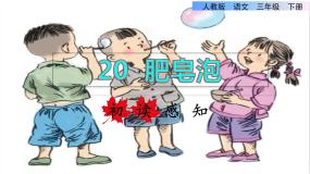 2021学年20 肥皂泡说课ppt课件