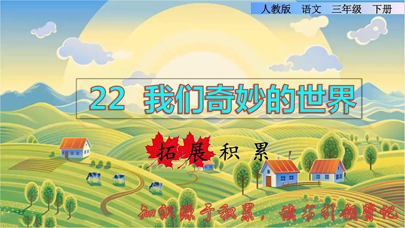22 我们奇妙的世界拓展积累课件01