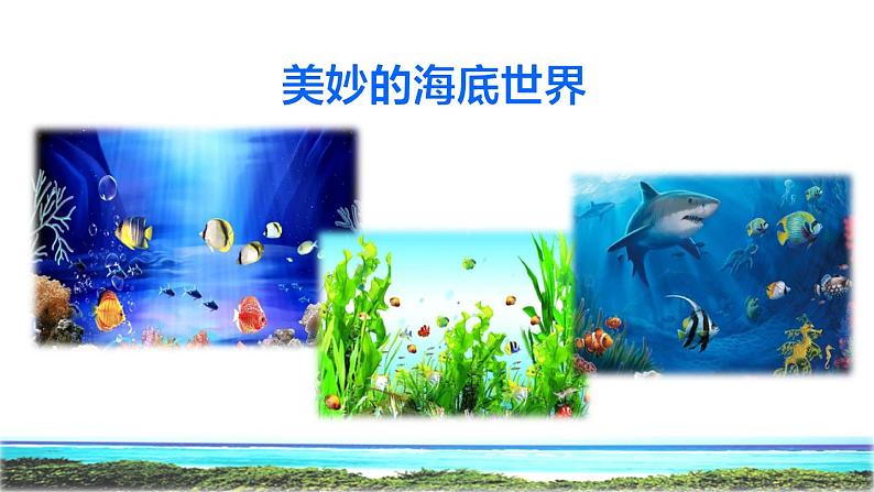 23 海底世界 初读感知课件02