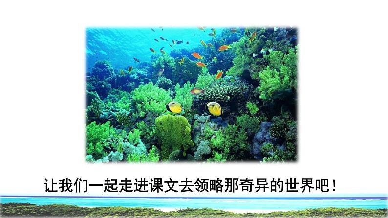23 海底世界 初读感知课件03