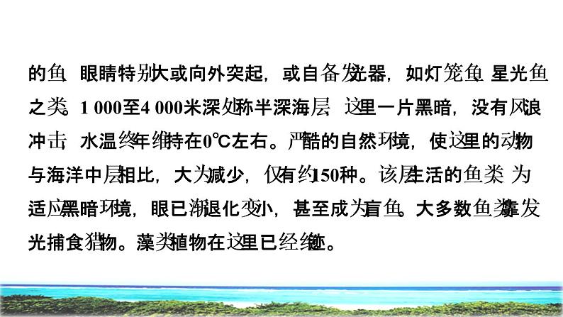 23 海底世界 初读感知课件05