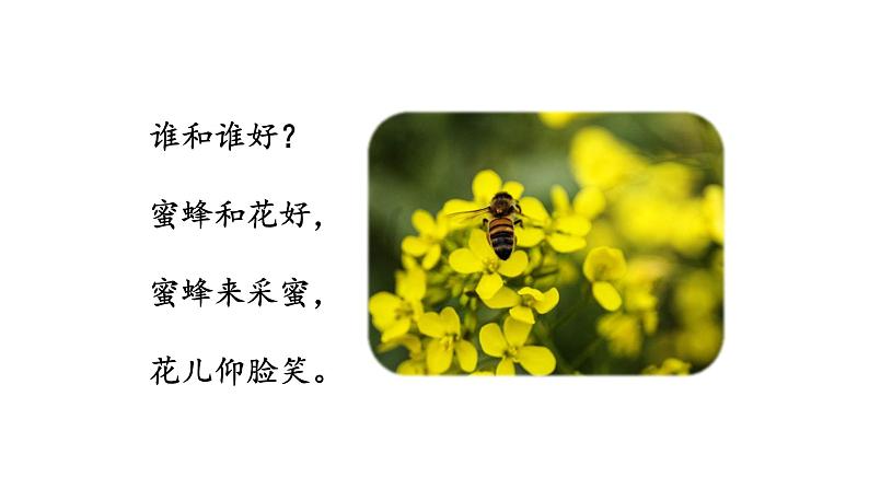 部编版小学语文一年级下册语文园地一课件第三课时第5页