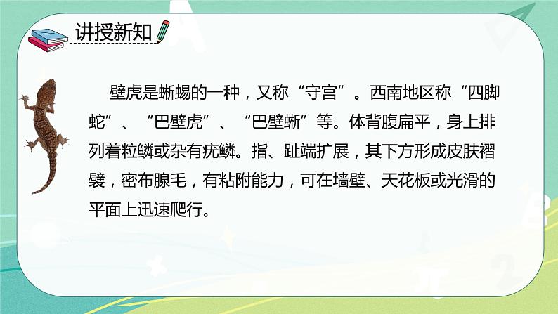 部编版 一年级语文下册同步备课 课文 第21课 小壁虎借尾巴(课件)第4页