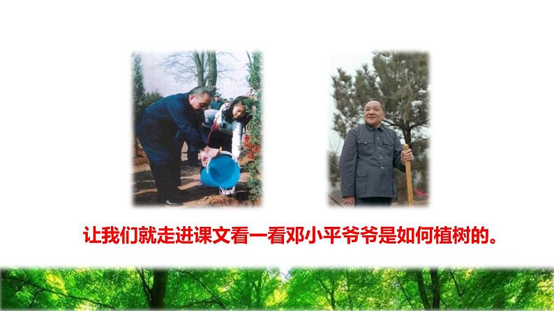 4 邓小平爷爷植树初读感知课件03