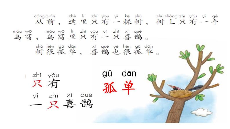 6树和喜鹊ppt第7页