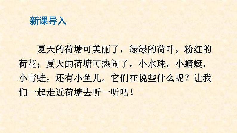 13-荷叶圆圆课件PPT第2页