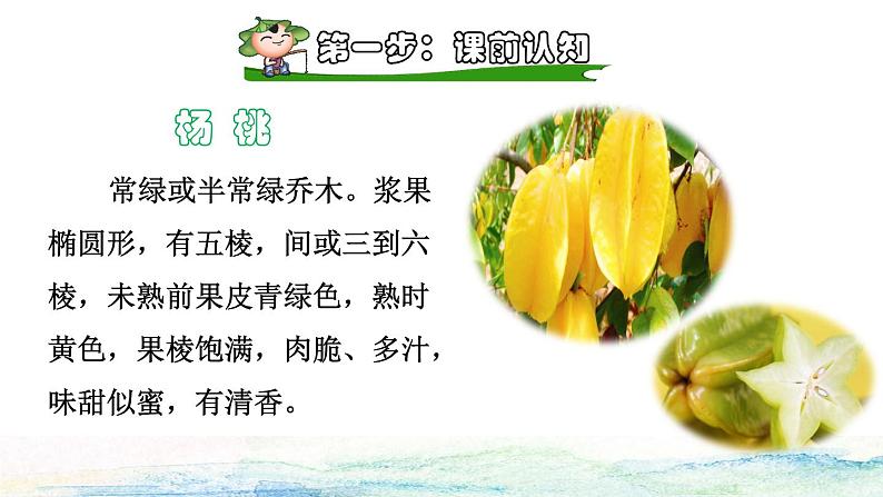 13 画杨桃课前预习课件第2页