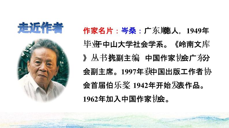 13 画杨桃课前预习课件第3页