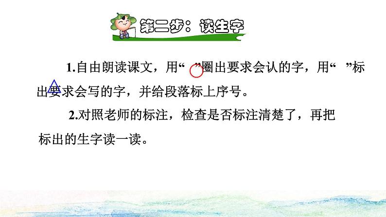 13 画杨桃课前预习课件第4页